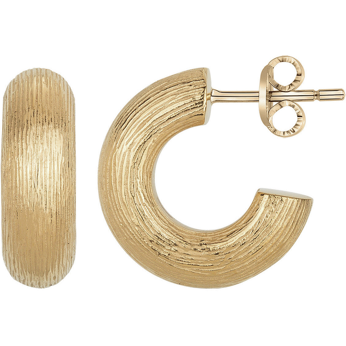 Boucles d'oreilles Phebus Femme en Acier