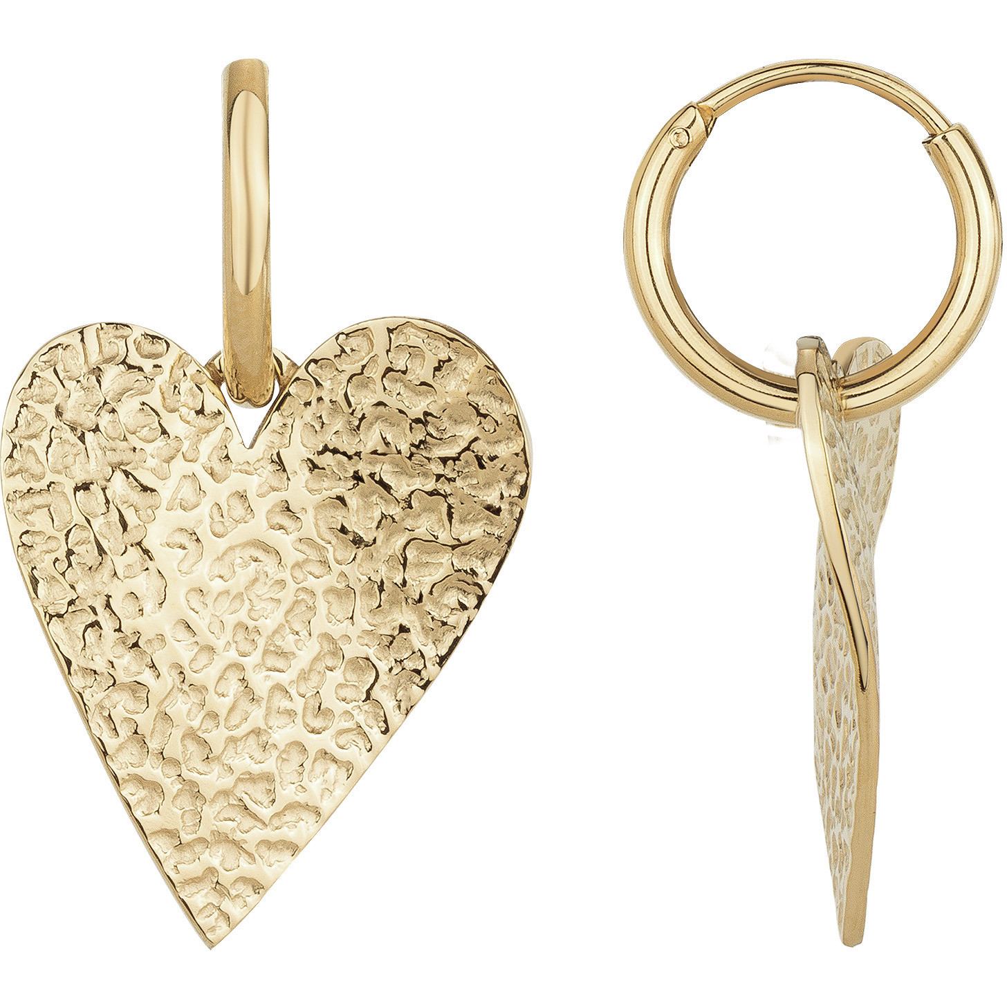 Boucles d'oreilles Phebus Femme en Acier