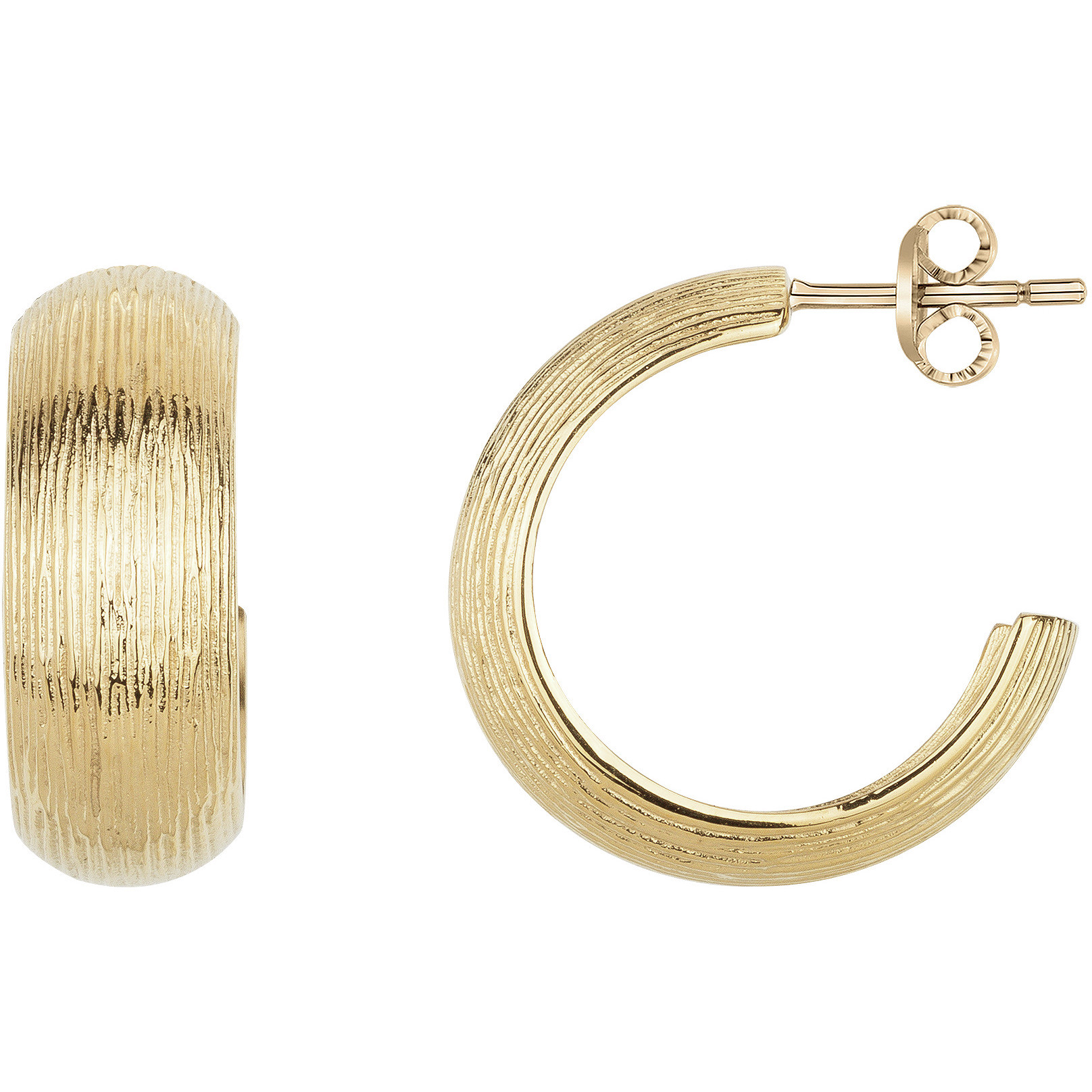 Boucles d'oreilles Phebus Femme en Acier