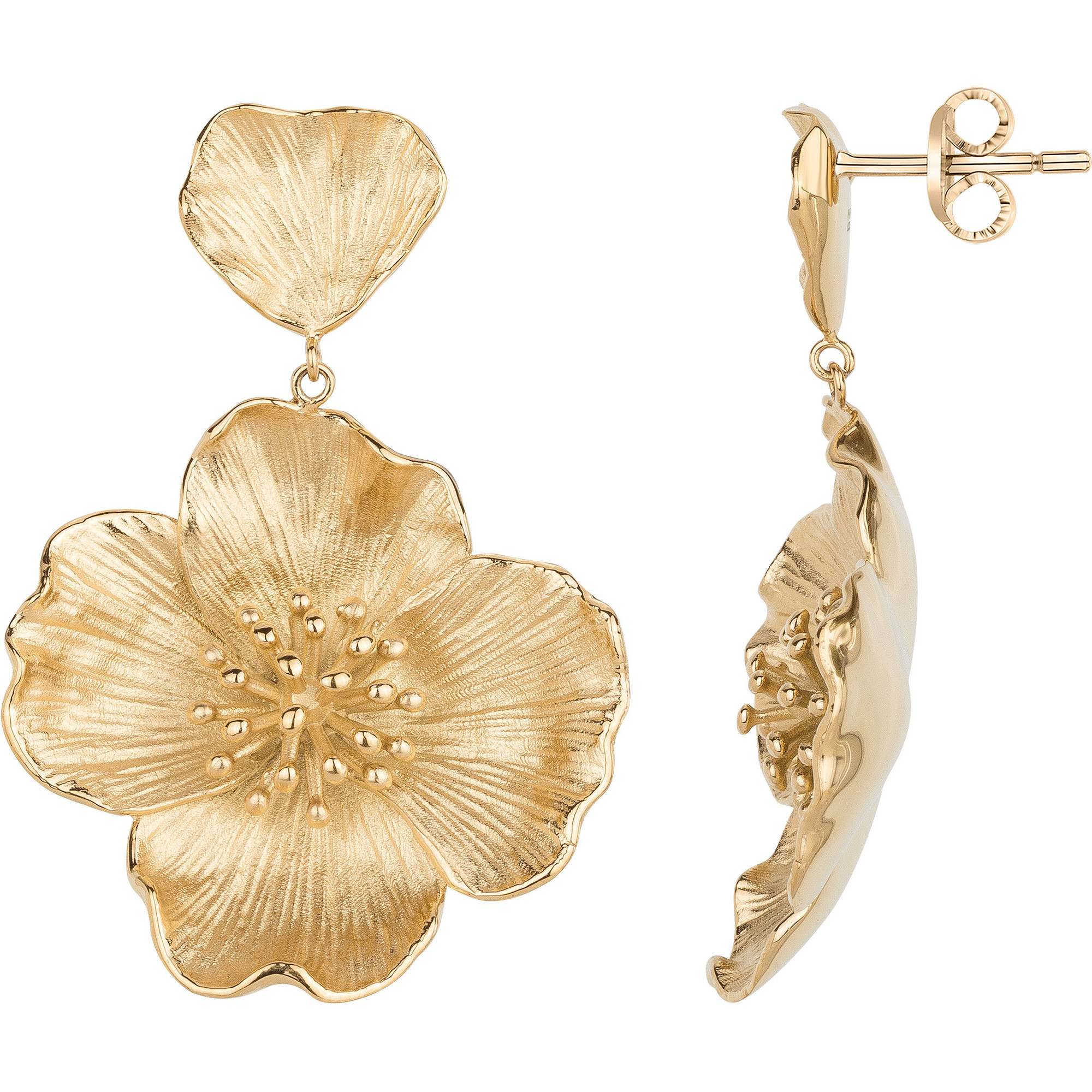 Boucles d'oreilles Phebus Femme en Acier