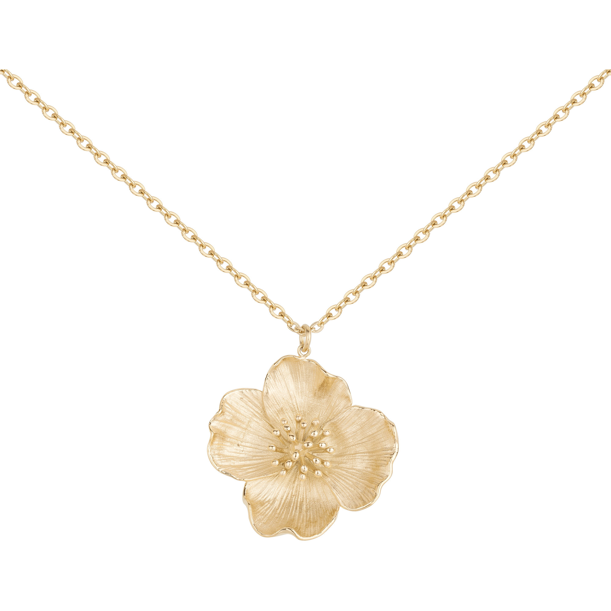 Collier Phebus Femme en Acier