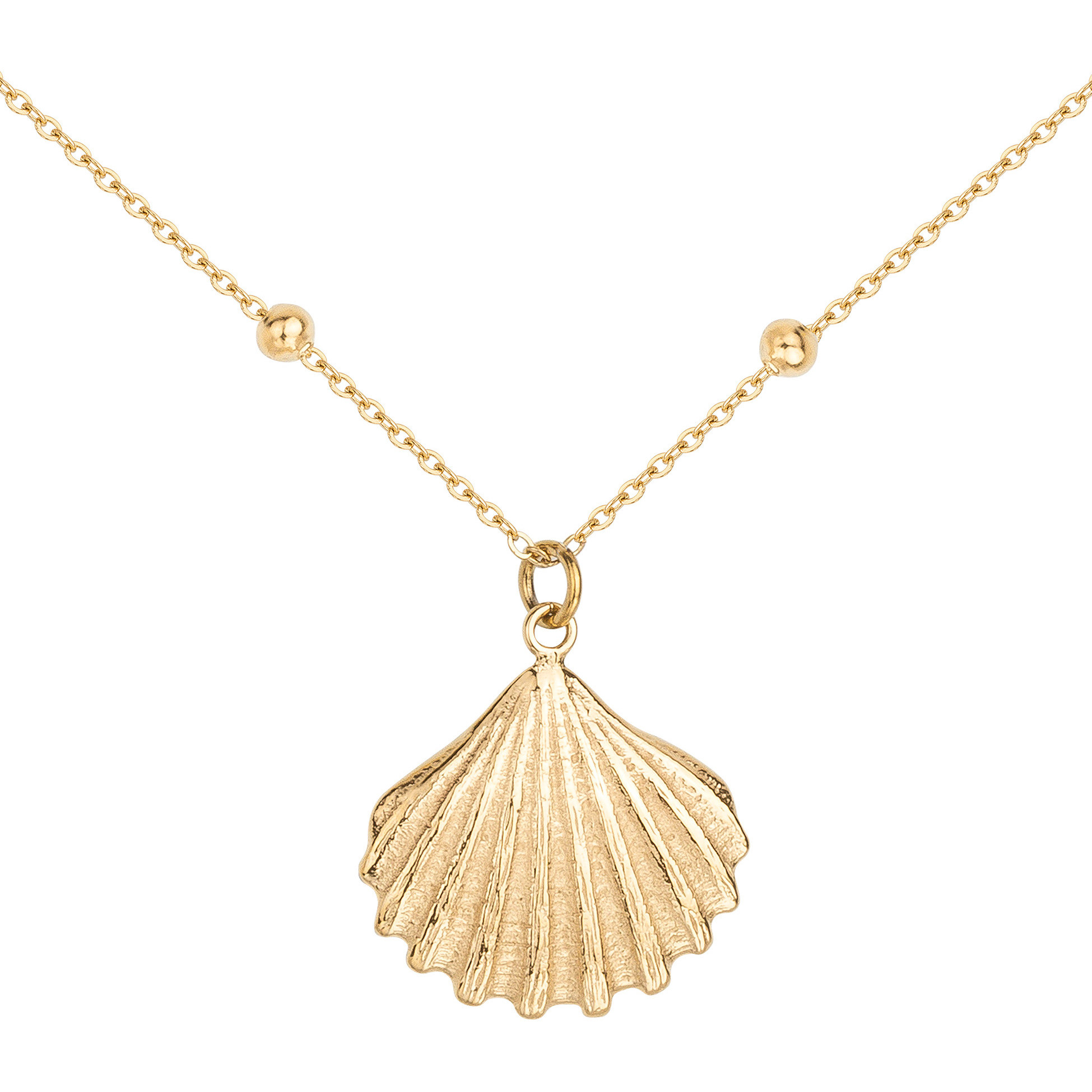 Collier Phebus Femme en Acier
