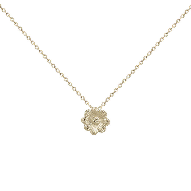 Collier Aline Phebus Femme en Acier